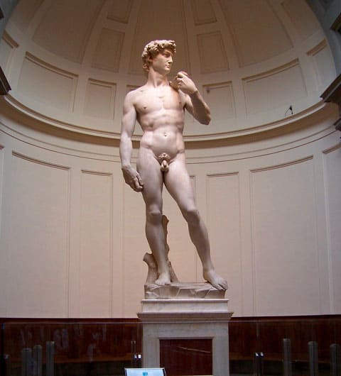 a picture of statue of David by michelangelo